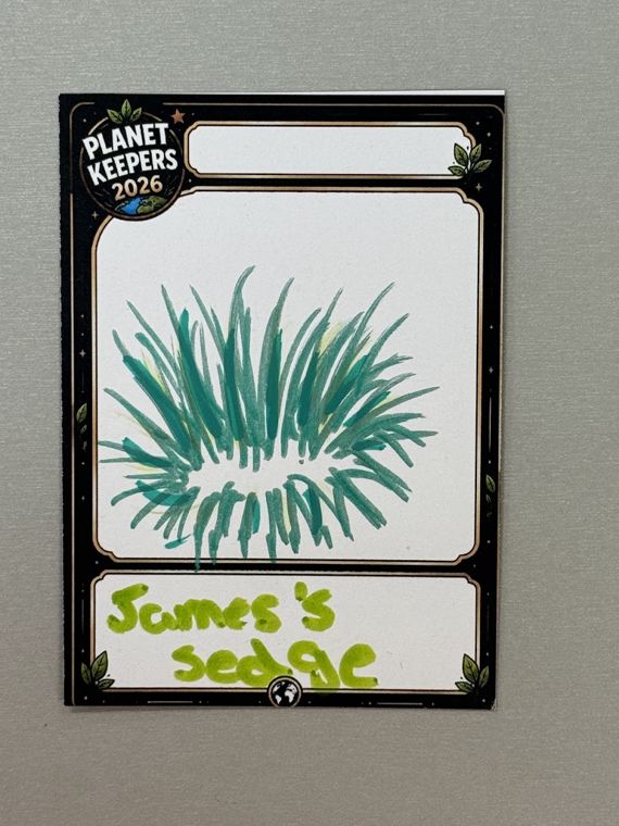 Student-designed Planet Keepers trading card 160