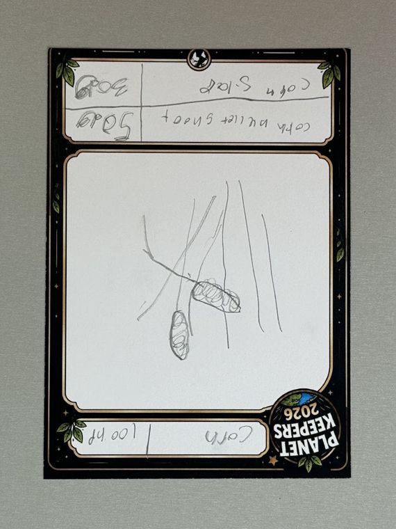 Student-designed Planet Keepers trading card 6