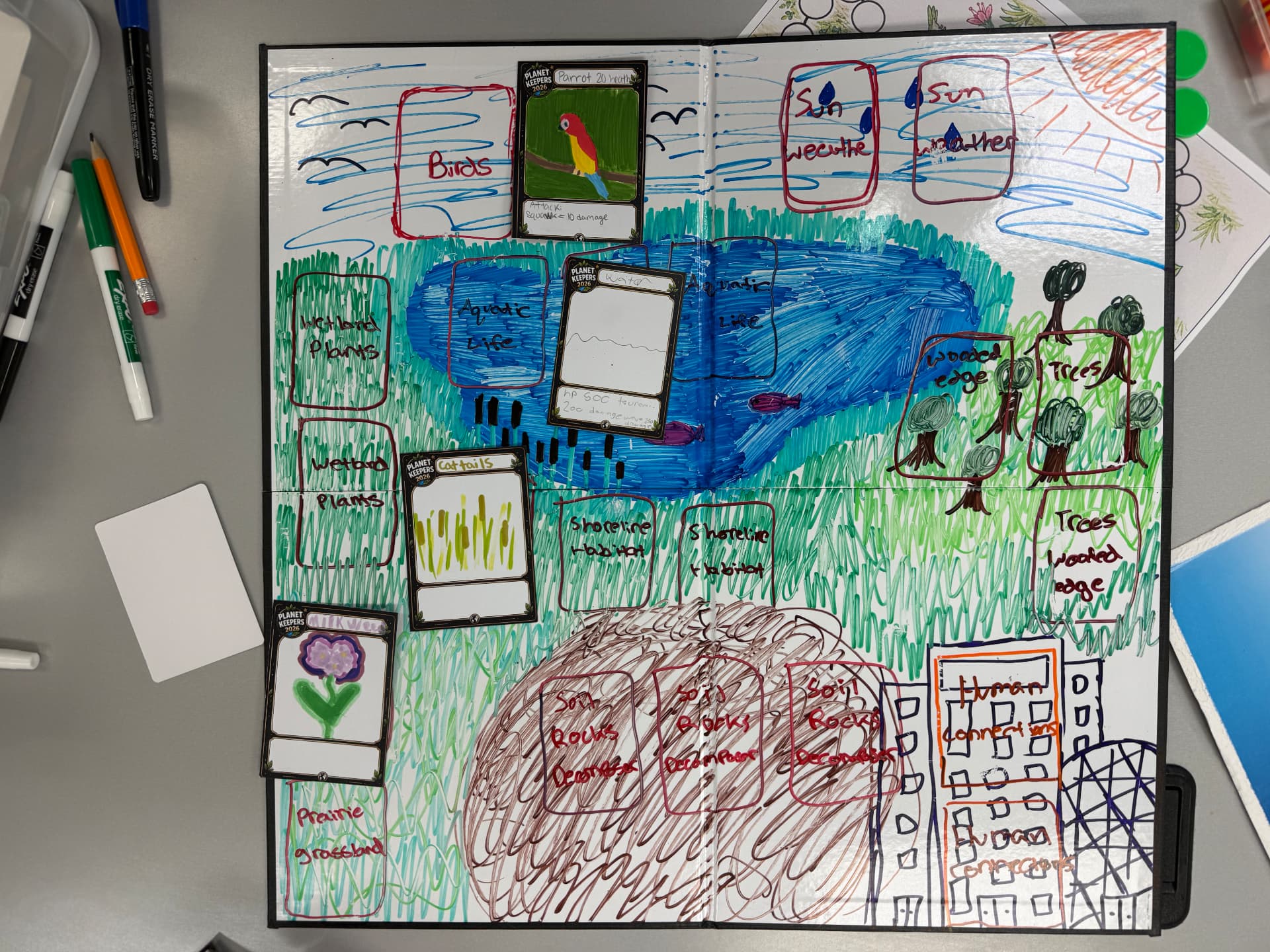 Student-made habitat board with parrot, cattails, and milkweed cards played onto it
