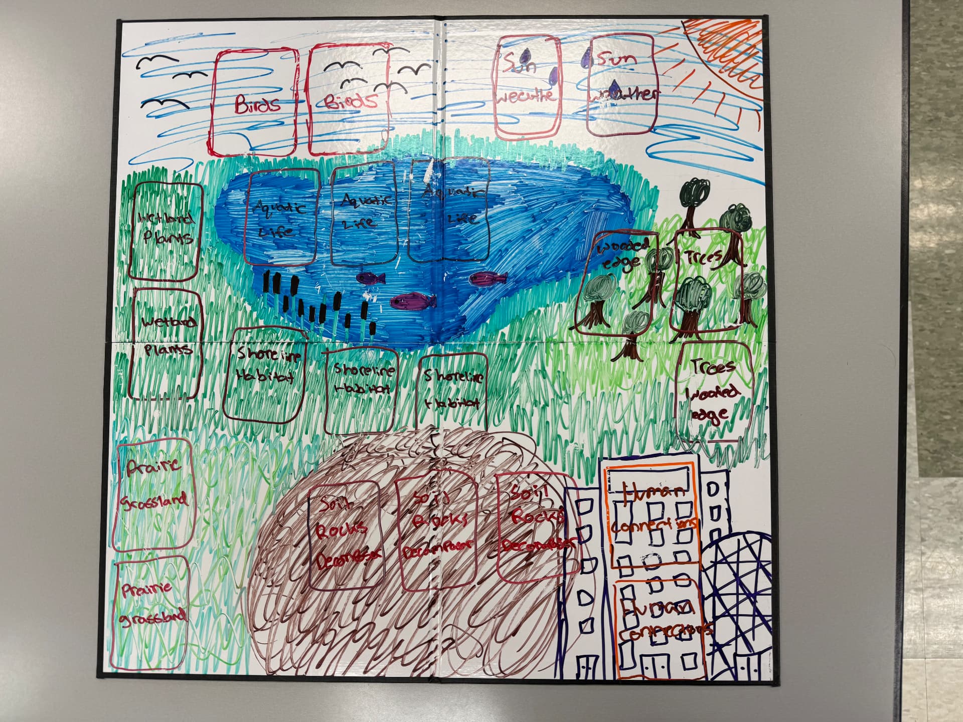 Hand-drawn habitat board mapping sky, wetland, shoreline, prairie, soil, and human connections