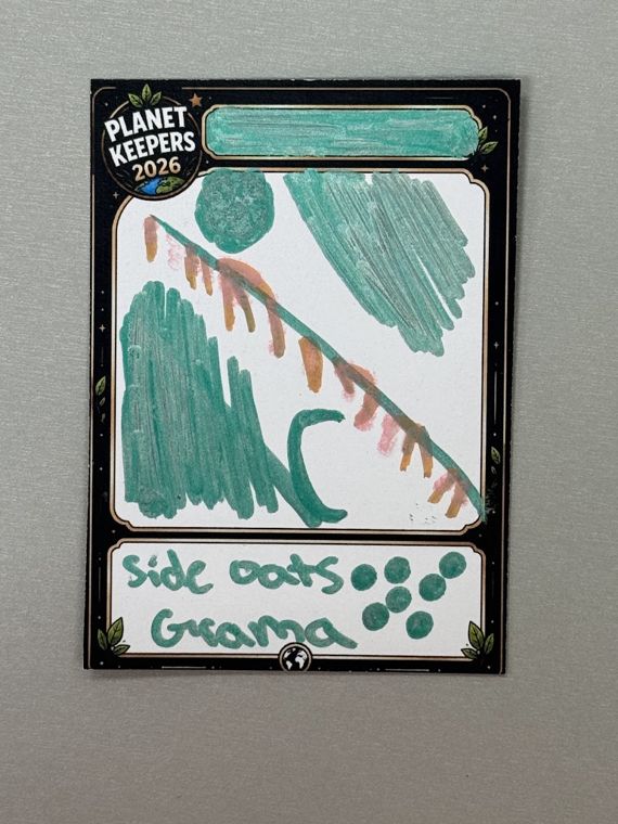 Student-designed Planet Keepers trading card 110